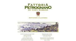 Desktop Screenshot of fattoriadipetrognano.com